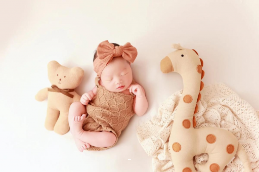 白银宝宝虾的做法 白银宝宝虾的做法