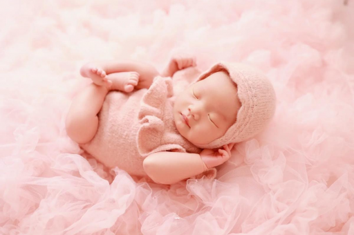 白银8个月宝宝辅食